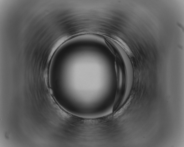 X0000091490812200708231421