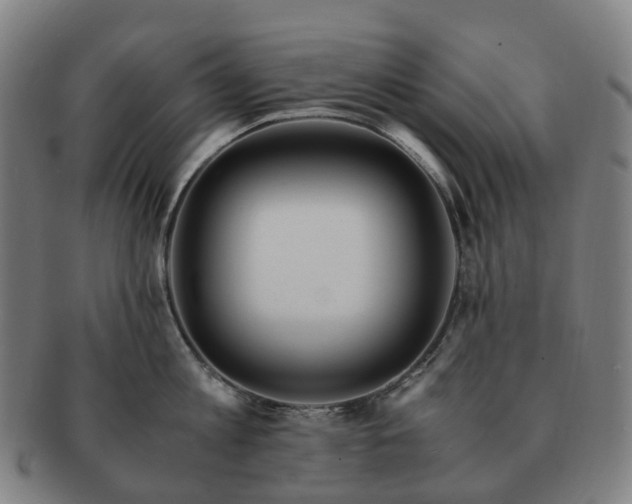 X0000091490813200708231421