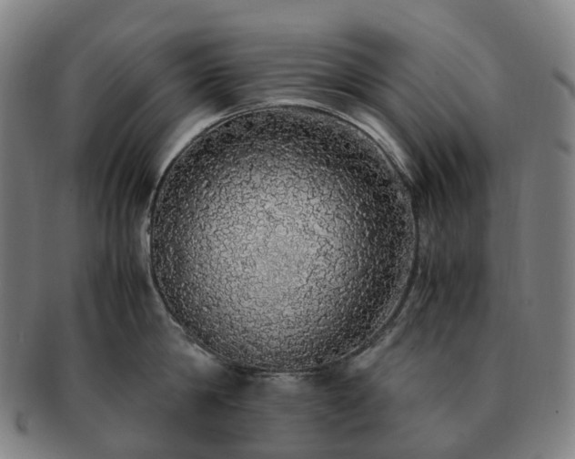 X0000091490814200708231421