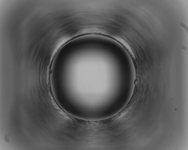 X0000091490815200708231421