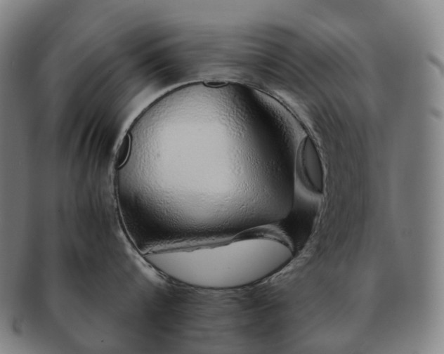 X0000091490816200708231421