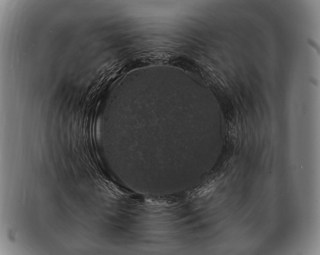 X0000091490818200708231420