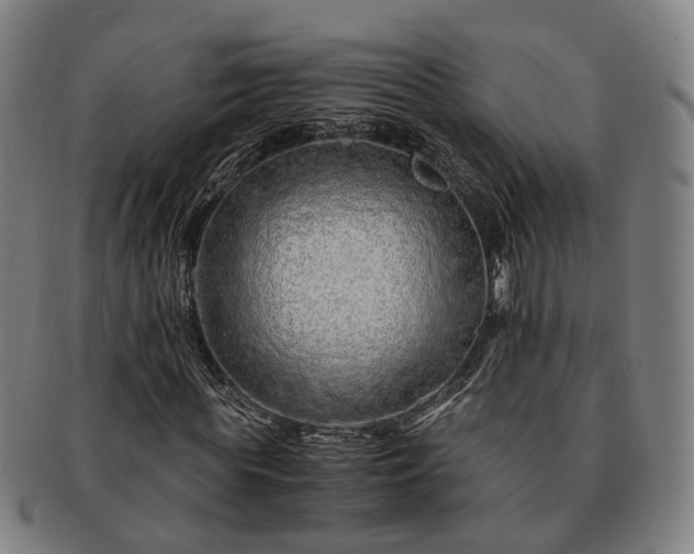 X0000091490819200708231420
