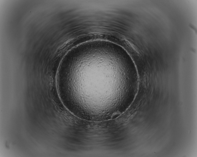 X0000091490821200708231420