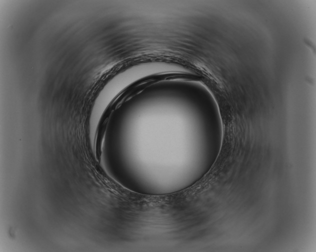 X0000091490822200708231420