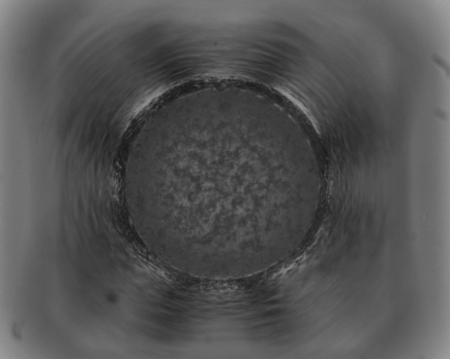 X0000091490823200708231420