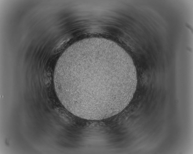 X0000091490824200708231420