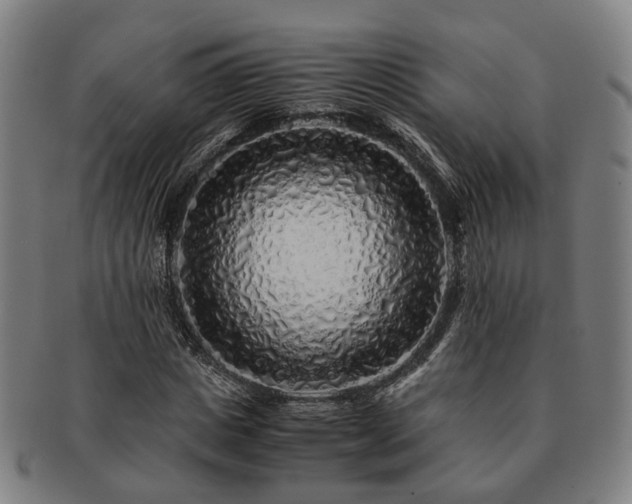 X0000091490825200708231420