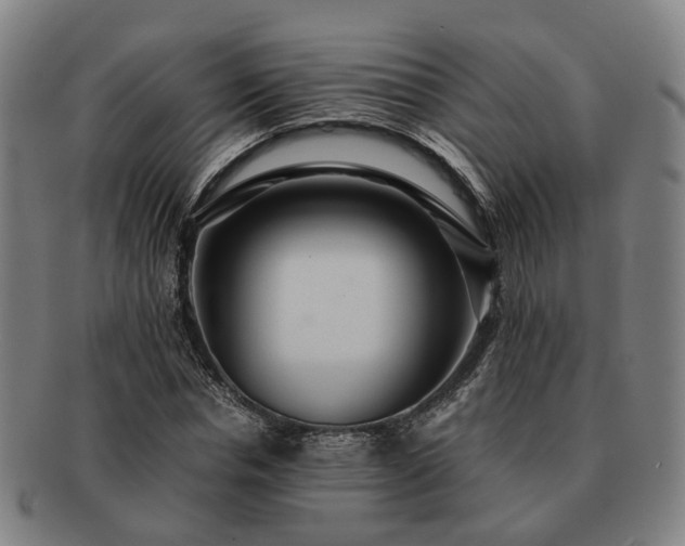 X0000091490826200708231420