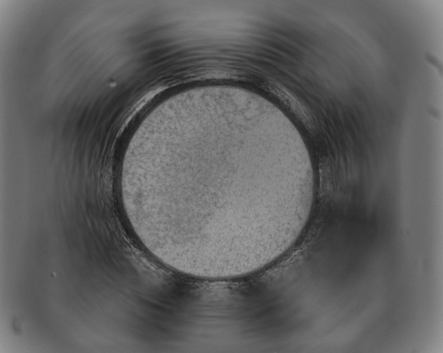 X0000091490828200708231420