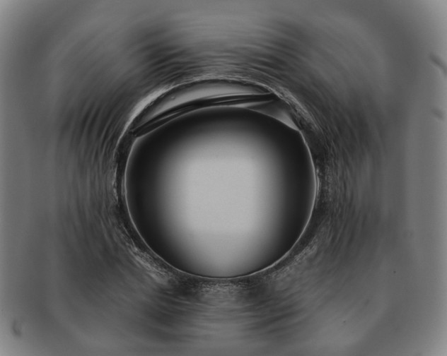 X0000091490830200708231420