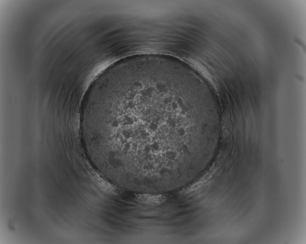 X0000091490831200708231420
