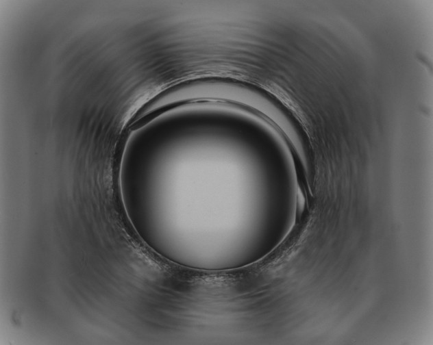 X0000091490834200708231420