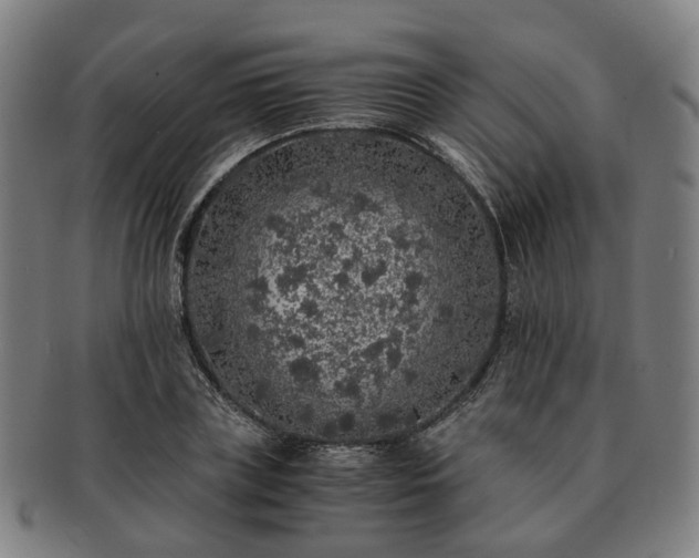 X0000091490835200708231420