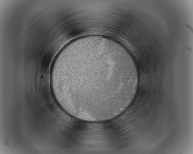 X0000091490836200708231420