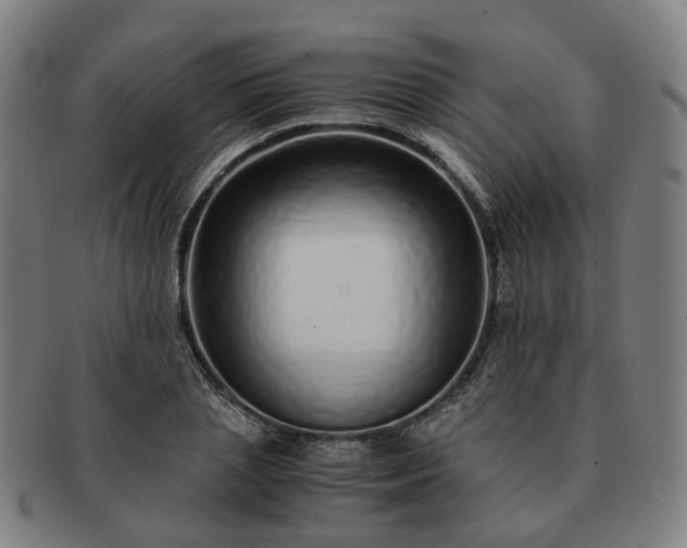 X0000091490837200708231420