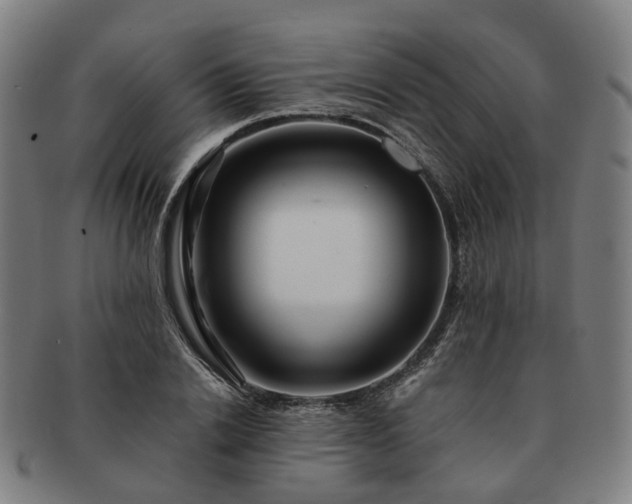 X0000091490838200708231420