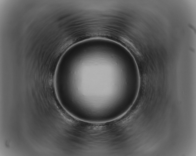 X0000091490841200708231420