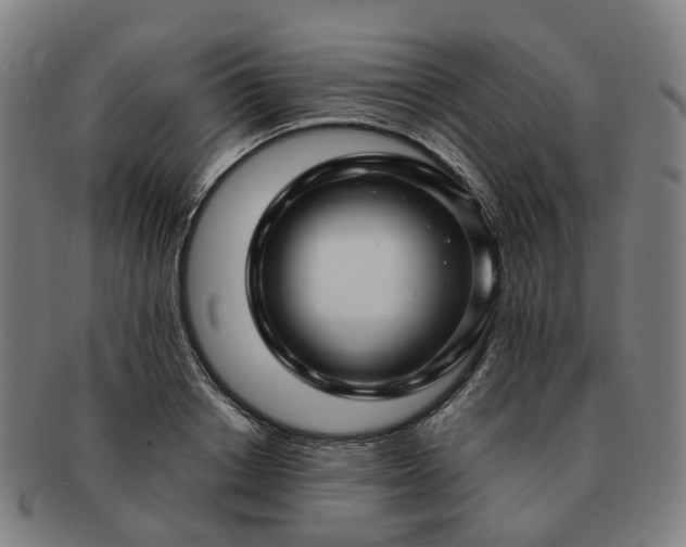 X0000091490842200708231420