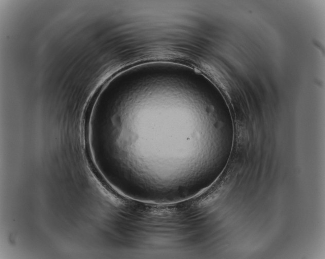 X0000091490843200708231420