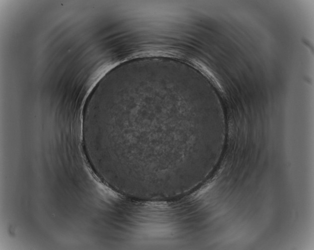 X0000091490844200708231420