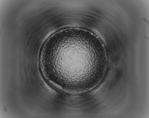 X0000091490845200708231420