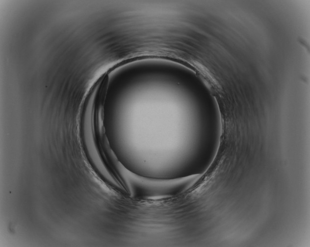 X0000091490846200708231420