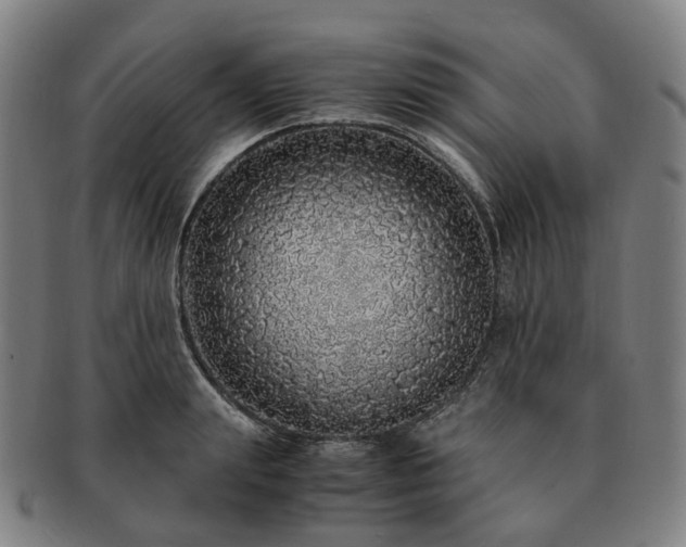 X0000091490847200708231420