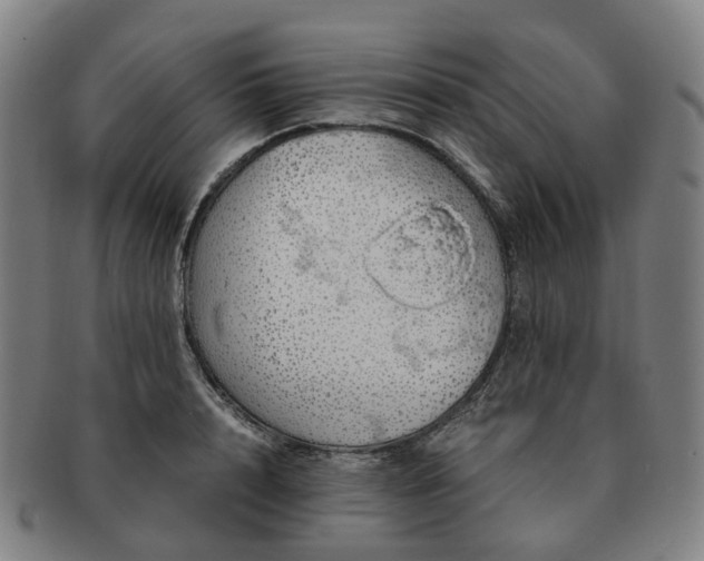 X0000091490848200708231420