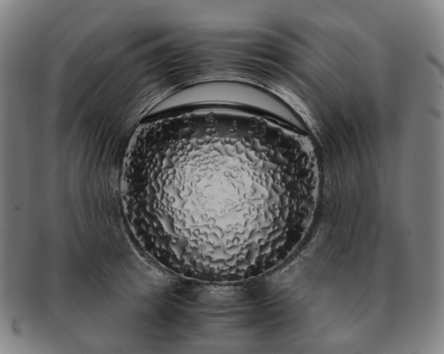 X0000091490849200708231420