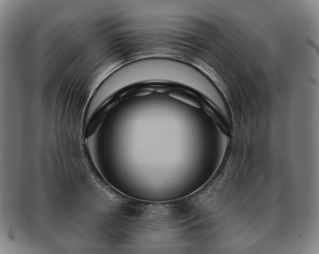 X0000091490850200708231420