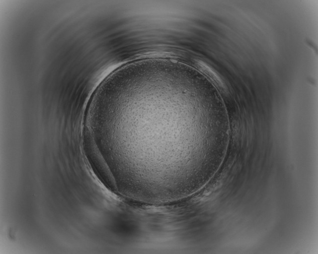 X0000091490852200708231420