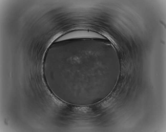 X0000091490853200708231420