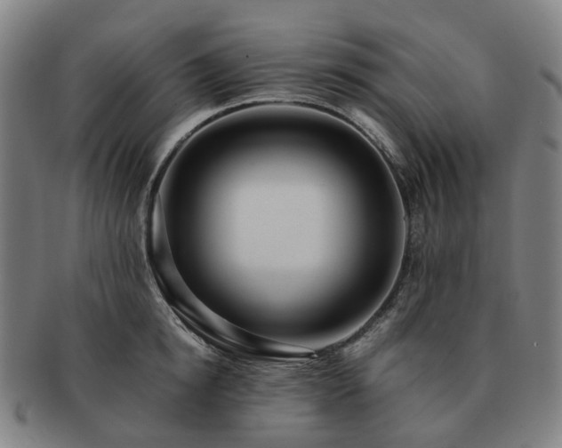 X0000091490854200708231420