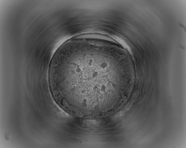 X0000091490855200708231420