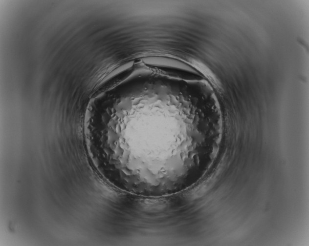 X0000091490857200708231420
