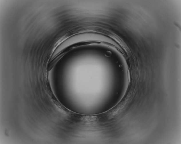 X0000091490858200708231420
