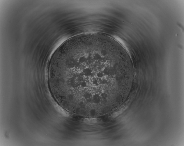 X0000091490859200708231420
