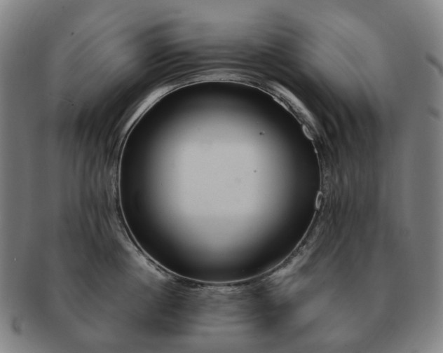 X0000091490860200708231420