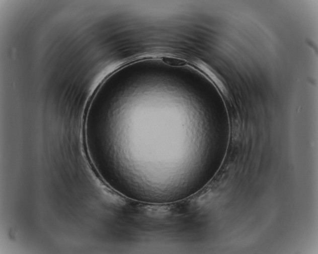 X0000091490861200708231420