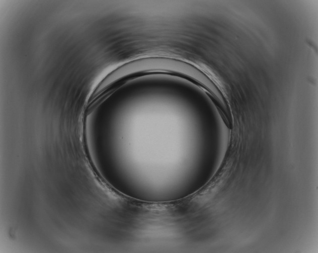X0000091490862200708231420