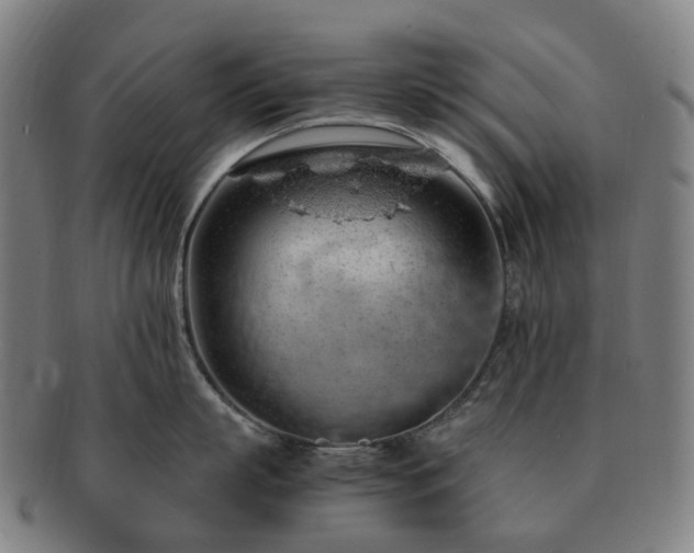 X0000091490863200708231420