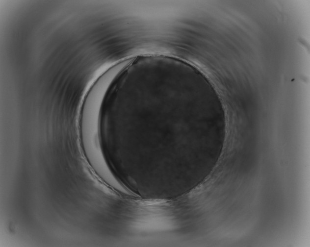 X0000091490864200708231420