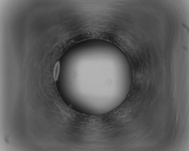 X0000091490865200708231420