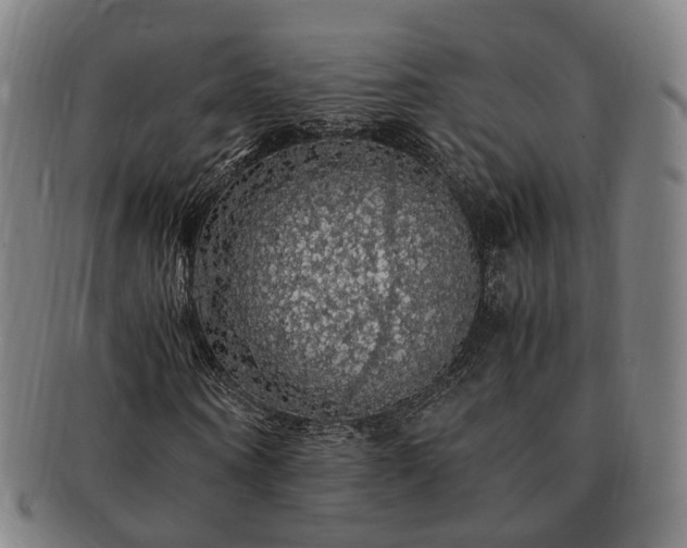 X0000091490866200708231420