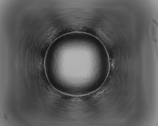 X0000091490867200708231420