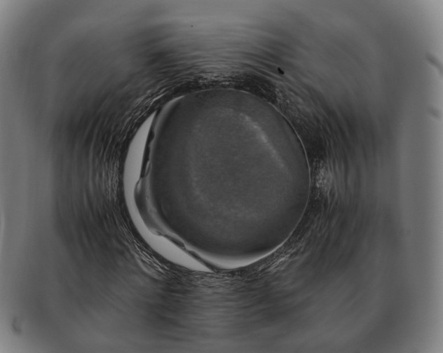 X0000091490868200708231420