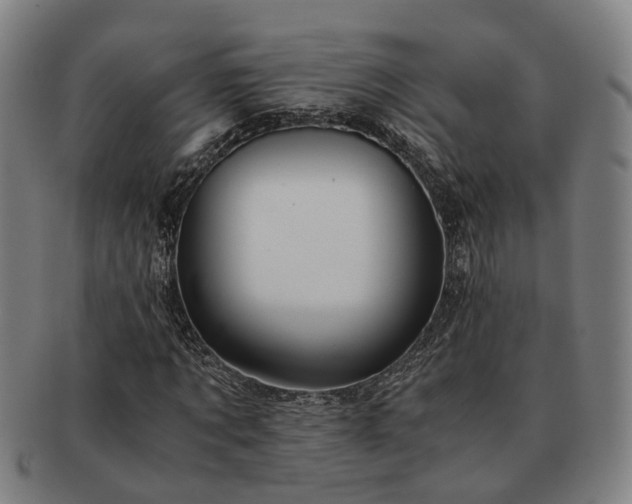 X0000091490869200708231420