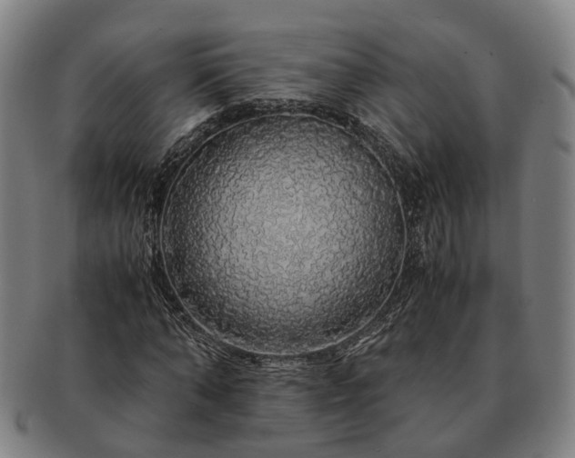 X0000091490870200708231420