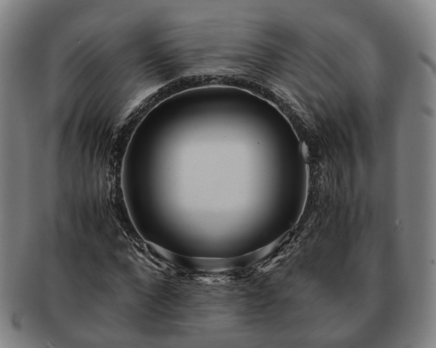 X0000091490872200708231420